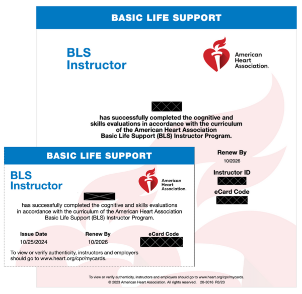 AHA BLS Provider Instructor-Led Course - Image 2